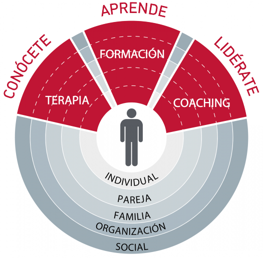 Terapia, formación, coaching desde una visión global de la persona